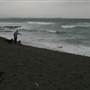 Black Sand Beach, Bass Point Reserve & Shell Cove