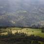 Hargraves Lookout