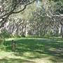Northern Broadwater Picnic Area