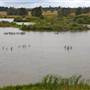 Cecil Hoskins Nature Reserve Moss Vale