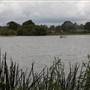 Cecil Hoskins Nature Reserve Moss Vale