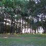Centennial Park