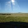 Dalgety/Cooma