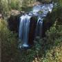 Dangar Falls and Cascades near Dorrigo