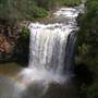 Dangar Falls and Cascades near Dorrigo