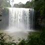 Dangar Falls and Cascades near Dorrigo