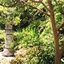 Chinese Garden of Friendship - Darling Harbour