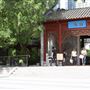 Chinese Garden of Friendship - Darling Harbour