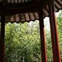 Chinese Garden of Friendship - Darling Harbour