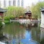 Chinese Garden of Friendship - Darling Harbour