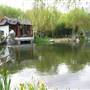 Chinese Garden of Friendship - Darling Harbour