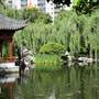 Chinese Garden of Friendship - Darling Harbour