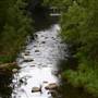 Kangaroo Valley River Suspension Bridge