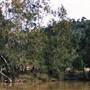 Deep Creek Reserve