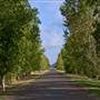 Denman Area