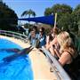 Dolphin Marine Magic