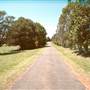 Dorrigo - General