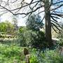 Lady Fairfax Gardens