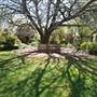 Lady Fairfax Gardens