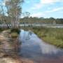 Lake Cathie - Lake Innes Nature Reserve