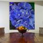 Private House - Cliftonville
