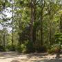 Lane Cove National Park