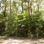 Lane Cove National Park
