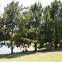 Manly Dam & Reservoir