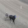 Menangle Park Paceway