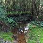 Barrington Tops National Park