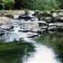 Barrington Tops National Park