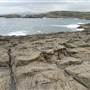 Bass Point Reserve to Maloneys Bay