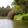 Berrima Reserve