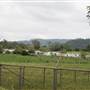 Berry Area Farms