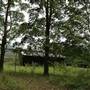 Berry Area Farms