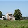 Berry Area Farms