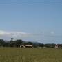 Berry Area Farms