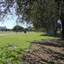 Glebe Foreshore Parks