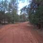 Binya State Forest - Cocoparra National Park