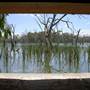Gum Swamp & Bird Hide