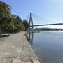 Blackwattle Bay Park