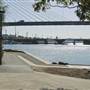 Blackwattle Bay Park