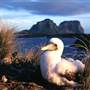 Lord Howe Island
