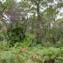 Bonnie Vale Campground - Royal National Park