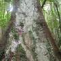 Boorganna Nature Reserve