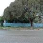 Boorowa