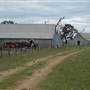 Boorowa