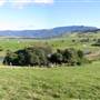 Jamberoo