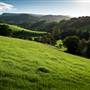 Jamberoo