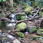 Jamberoo